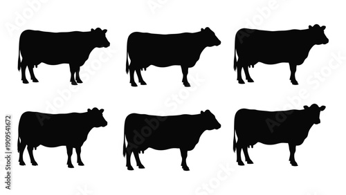 Six different silhouettes of cows showcasing various postures and orientations. isolated on white background, Vector