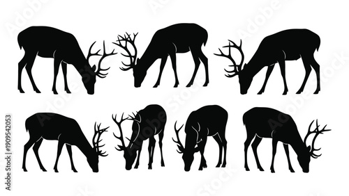A group of eight black silhouette deer grazing in a field isolated on white background, Vector
