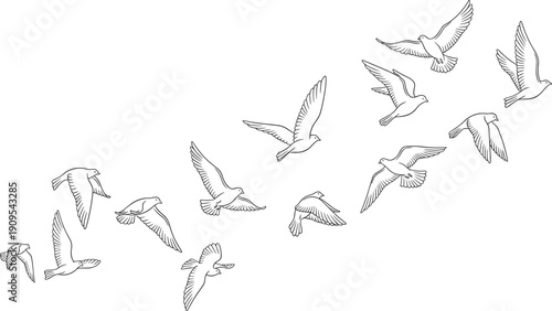 Flying birds line art set with flock in hand drawn sketch outline style