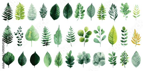 Collection of diverse evergreen trees in various shapes and sizes with a white background