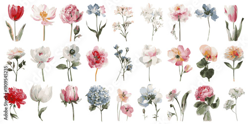 Collection of delicate dried flowers and botanicals arranged in a grid on a white background