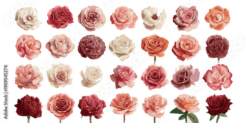 Collection of delicate watercolor floral illustrations in warm earthy tones isolated on white background