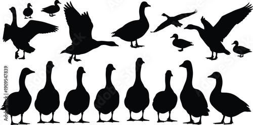 Goose silhouette collection set, wild waterfowl birds standing flying poses, farm animal vector illustration