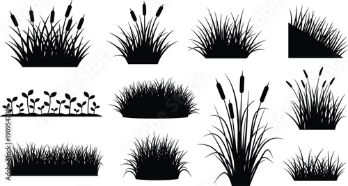 Grass and reeds silhouette icon set with wild plants bushes isolated black vector illustration - flavector
