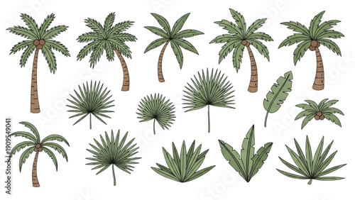 Various tropical palm trees and plants arranged in a grid on a transparent background from an overhead viewpoint