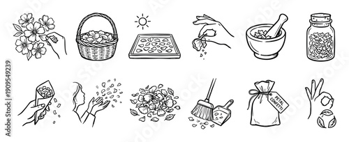 Set of hand-drawn icons illustrating the process of making and using eco-friendly petal confetti for a wedding celebration, showing picking, drying, and tossing flowers