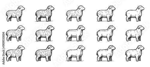 Set of hand-drawn sheep illustrations showing a design progression from a detailed, curly style to a simple, geometric sketch in a black and white line art collection