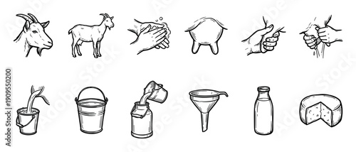 Set of hand-drawn sketch icons showing the goat milk production process, from milking the animal to pouring into a bucket, bottling, and making fresh cheese