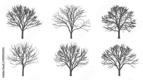 Vector illustration of set of six bare winter tree silhouettes on a transparent background