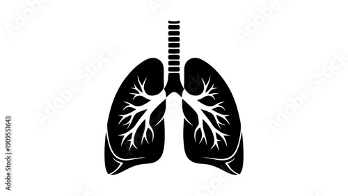 Vector illustration of black and white icon of human lungs and trachea silhouette on a transparent background