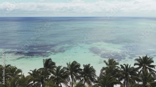 A beautiful landscape aerial video of a beach, palm trees, and the ocean in Cancun, Mexico.