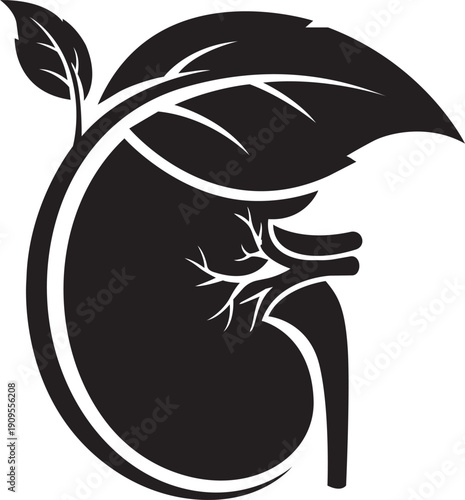 Illustration of black silhouette of a kidney with a leafy branch growing out of it
