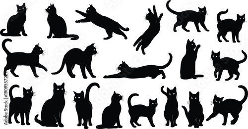 Large set of domestic cat silhouettes in various active and resting poses, group of black feline figures isolated on white background vector.