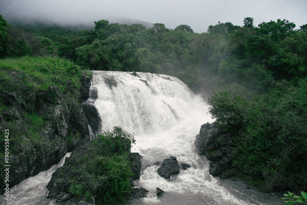 Fototapeta premium waterfall in the forest