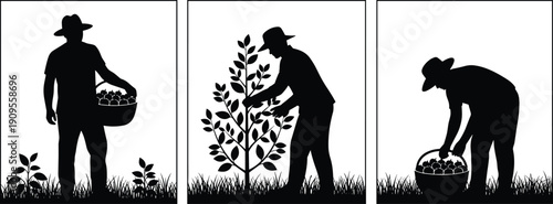 Farmer harvesting crops silhouettes set, agriculture gardening illustration, rural lifestyle vector isolated black clipart bundle