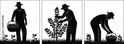 Farmer harvesting crops silhouettes, agriculture gardening rural lifestyle illustration isolated black vector clipart farming collection set