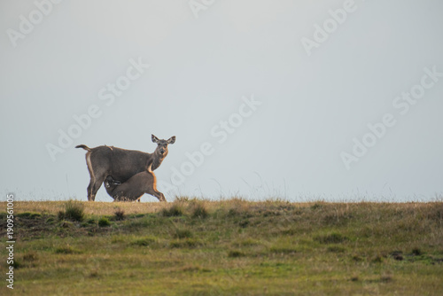 Foto Life begins and thrives in the quietest corners of the wilderness