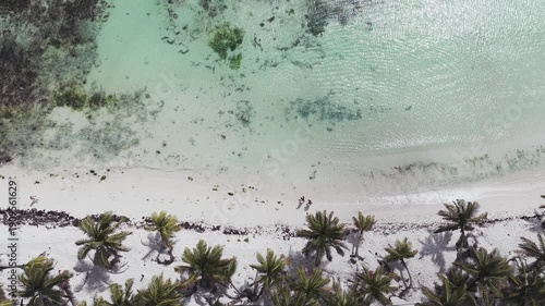 A bird's-eye view aerial of people walking on a beach with palm trees, and the ocean in Cancun, Mexico.