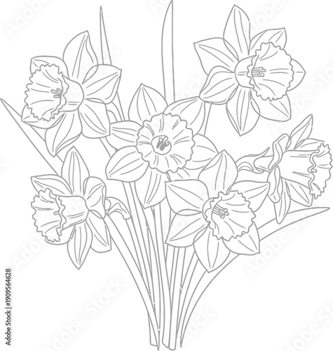 Beautiful black and white line art drawing illustrating a cheerful bouquet of daffodils perfect for coloring activities and floral design projects
