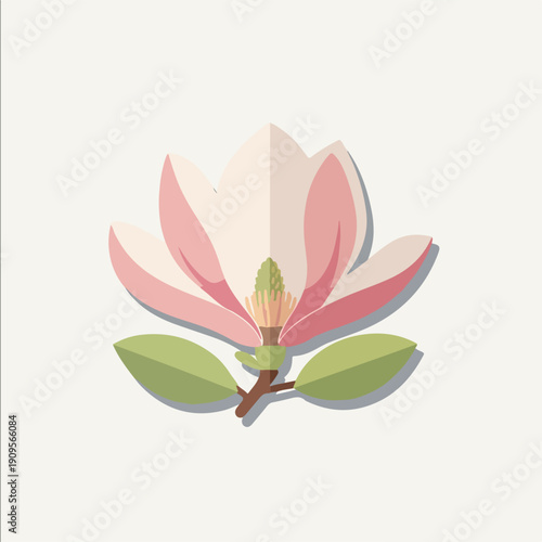 Beautiful Pink Magnolia Flower Illustration.