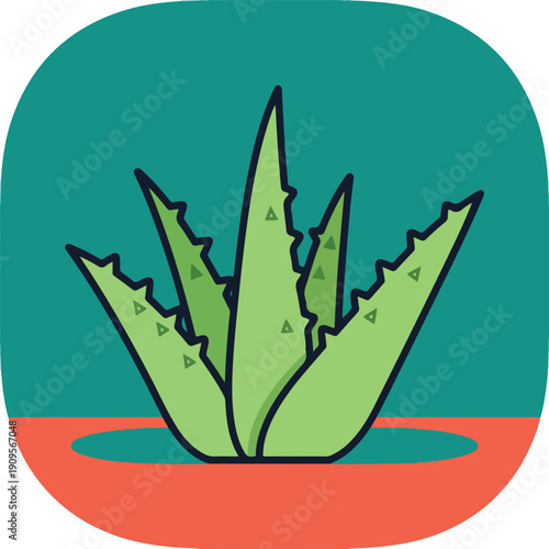 Aloe Vera Plant Illustration Green Leaves 3.
