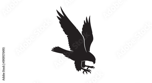 Soaring Silhouette: A majestic bird of prey in a dramatic descent, its silhouette a symbol of power and freedom against the blank canvas.