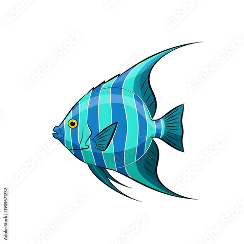 Angelfish vector illustration