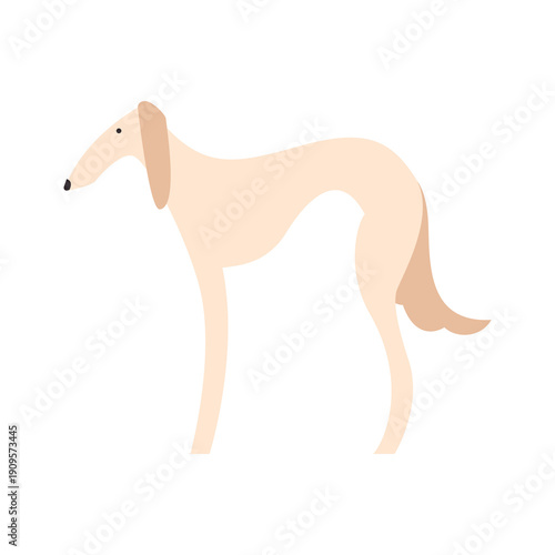 Sighthound vector illustration. Flat pet character - white sighthound or gazehound dog. Breeds concept.