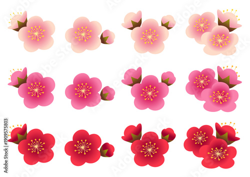 ピンクや白の梅の花の花びらや蕾のセット
