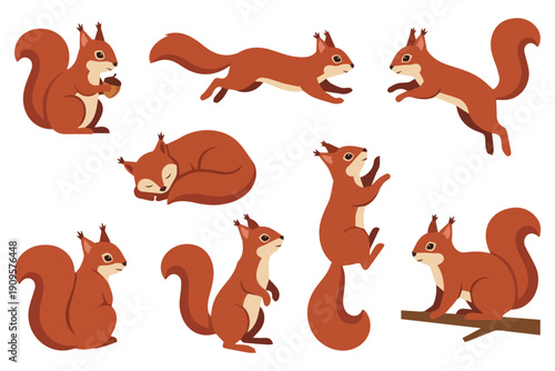 Cartoon squirrel set in different poses and views isolated on white background, flat vector illustration