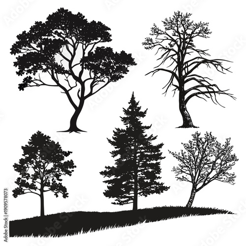 A set of black vector tree silhouettes creates a bare winter forest landscape illustration featuring cold autumn oak branches and isolated plant designs against a foggy sky