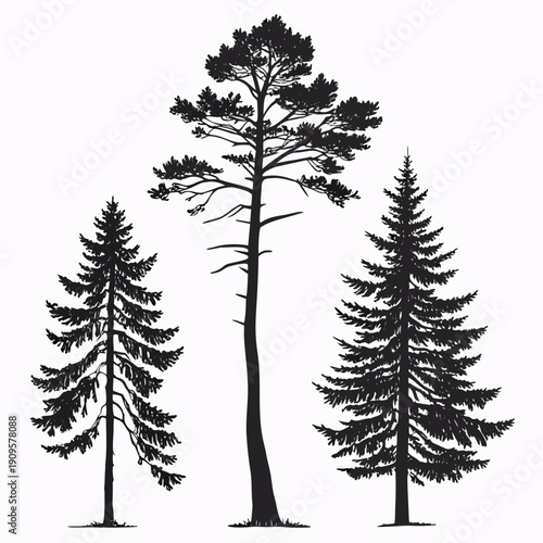Set of vector tree silhouettes featuring evergreen fir and pine spruce in a snowy winter forest landscape for nature holiday Christmas celebrations