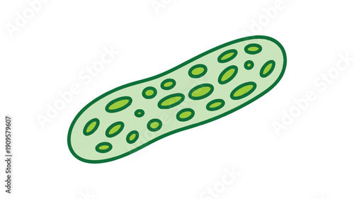 A digital illustration of a paramecium, a type of single-celled organism, rendered in a minimalist style (3)_traced
