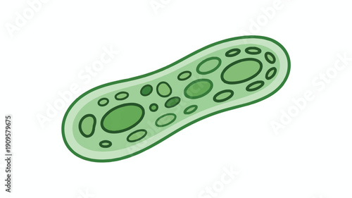 A digital illustration of a paramecium, a type of single-celled organism, rendered in a minimalist style (4)_traced