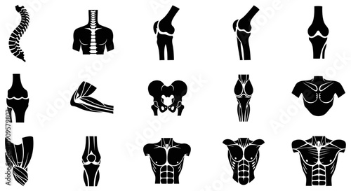Set of Human Body Anatomy Icons Spinal Column, Joints, Ribs, Shoulders, and Torso Silhouettes for Medical and Fitness Visuals