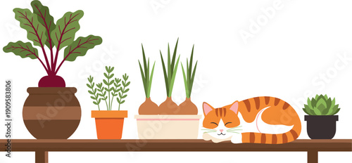 Cozy home illustration with sleeping cat on shelf and houseplants peaceful interior flat vector design for lifestyle decor and home comfort concepts