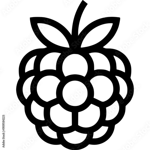 Vector illustration of  rasberry design on a black background