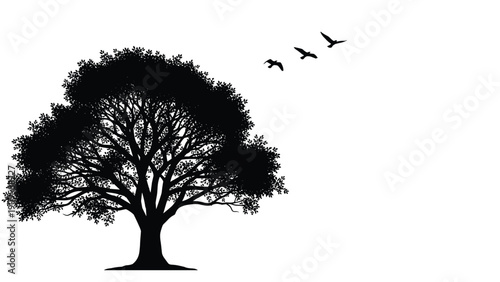 Black silhouette of a large leafy tree with birds flying in the sky representing a peaceful natural environment or landscape.