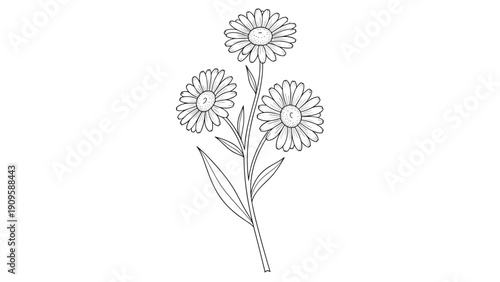 Delicate line drawing of a daisy flower bouquet with three blooms and several leaves for a simple botanical floral decoration.