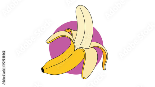 Delicious yellow banana partially peeled on a bright purple circle background for fruit and healthy eating themed illustrations.