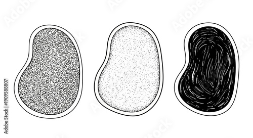 Three kidney beans with different shading techniques