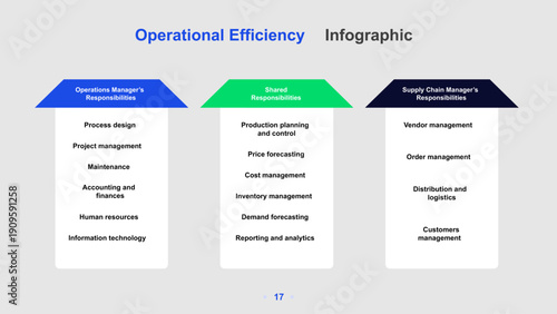Operational Efficiency Process Infographic with Input, Operations, and Output Stages