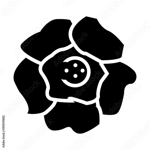 black and white raflessia flower from Indonesia glyph icon illustration vector
