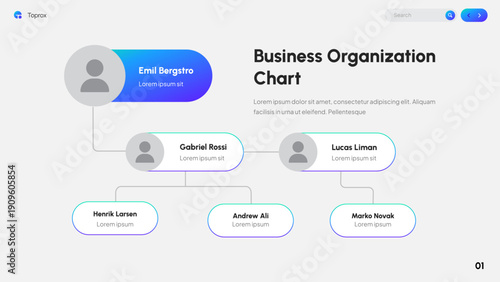 Business Organization Chart