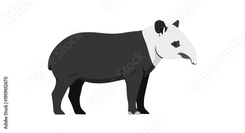 Illustration of a black and white tapir standing on a white background.