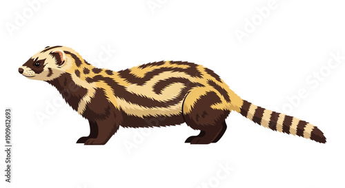 Illustration of a striped badger with brown and yellow fur pattern.