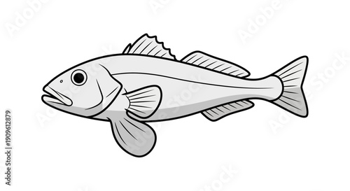 Detailed black and white illustration of a fish with fins and scales.