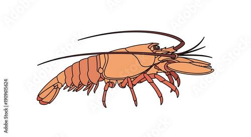 Detailed illustration of a brown lobster with extended antennae and segmented body.