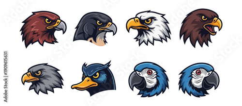 Birds of prey and exotic avian head portraits illustration set