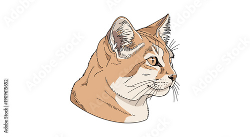 Detailed digital illustration of a brown and white cat's head in profile.